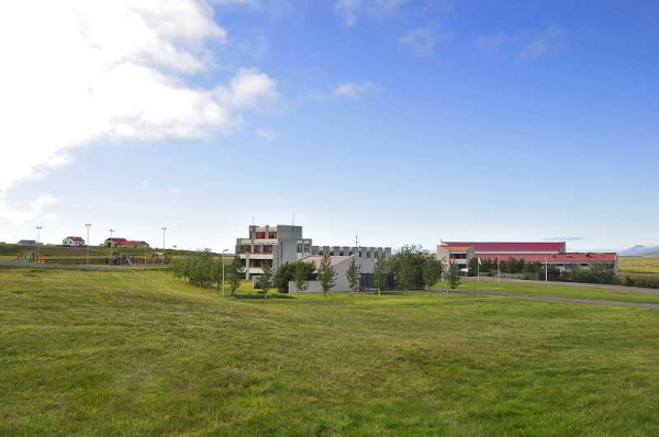 أفضل العروض ل هانافلير بلوندووس