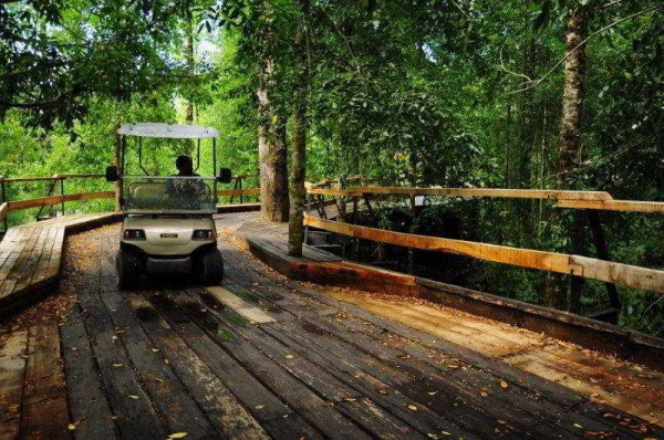 Best offers for Nawelpi Lodge Huellelhue