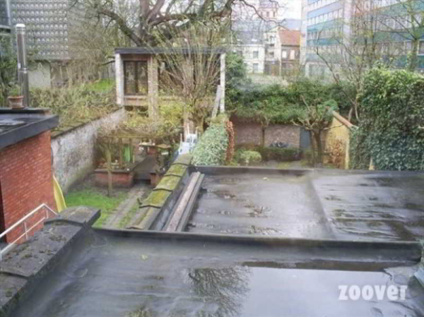 Best offers for Sparrows Nest Ghent