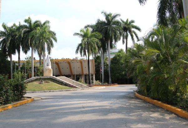 Best offers for Sierra Maestra Manzanillo