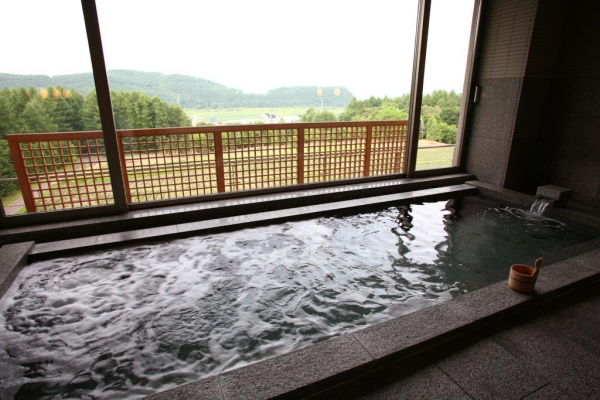Best offers for Furano Hotel Furano 