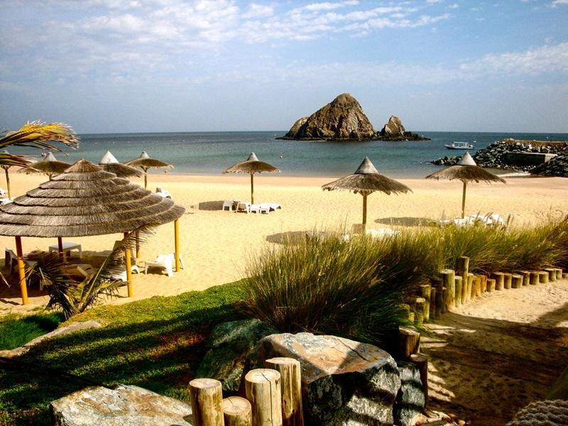 أفضل العروض ل منتجع sandy beach و الفجيرة