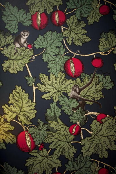 أفضل العروض ل فندق نو. 11  ايدينبارف إدينبارف سيتي تشامبر