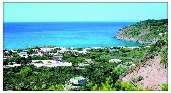 Best offers for Cesotta Neapolitan Riviera