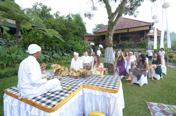 أفضل العروض ل تيرتااي يو جزيرة بالي