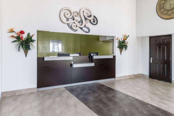 أفضل العروض ل ك يواليتيان و ستسارلينجتون دالاس 