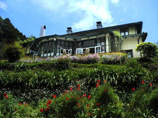 أفضل العروض ل ويندامر دارجيلينج 