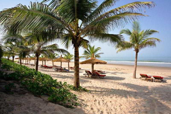 أفضل العروض ل  سكيرينج كاب