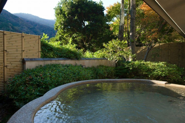 Best offers for Tsubaki Tsurumi