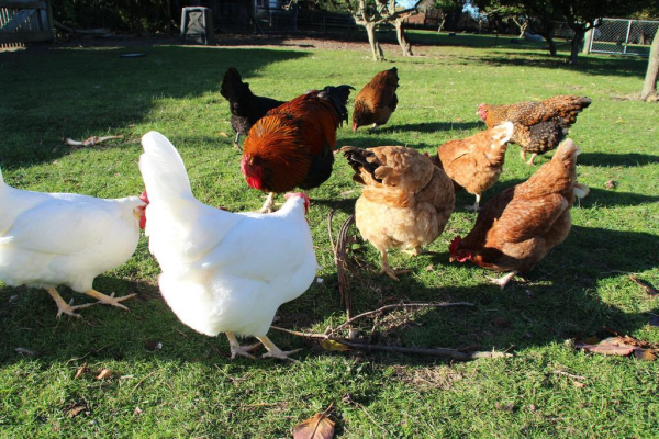 أفضل العروض ل سانلوناردس فينايارد كوتاجىس مارلبوراوه