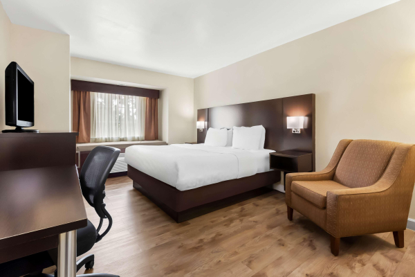 أفضل العروض ل  ماونت بليسانت 