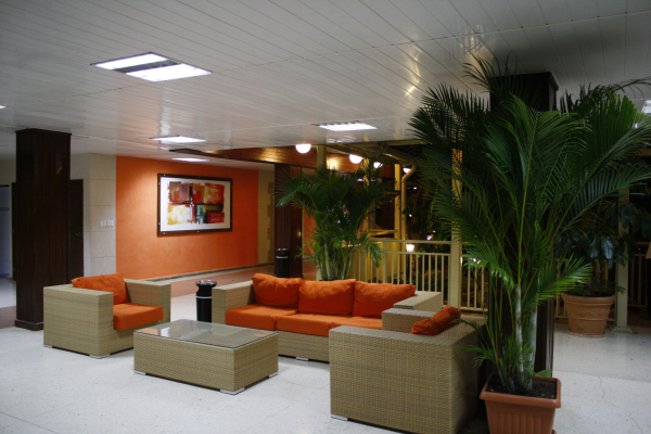 أفضل العروض ل ثييجو دي ابيلا ثييجو دي ابيلا