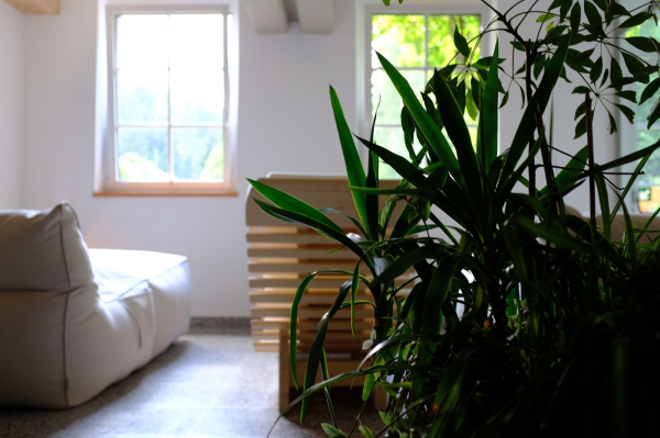Best offers for Parkhotel Sole Paradiso Moena