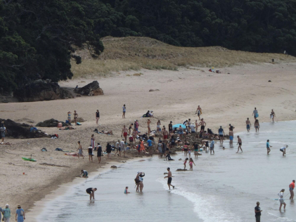 Best offers for Harbourview Lodge Coromandel