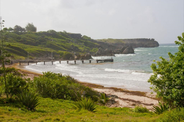 Best offers for Tropical Winds Saint Philip