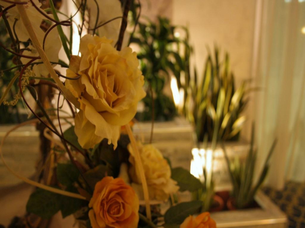 Best offers for Hotel Villa Santa Cesarea Terme