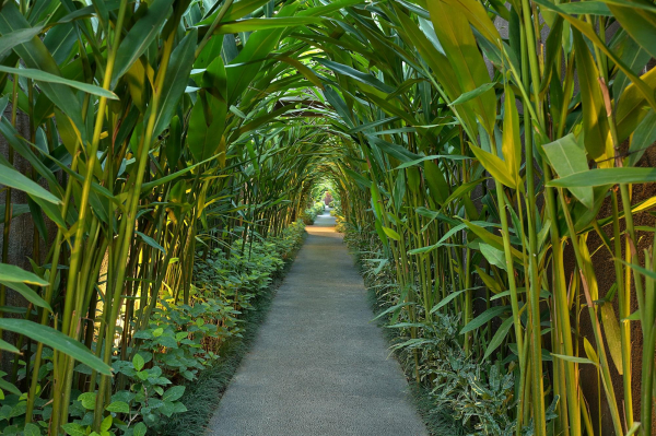 أفضل العروض ل زيفا ا بوتيك فيلا جزيرة بالي