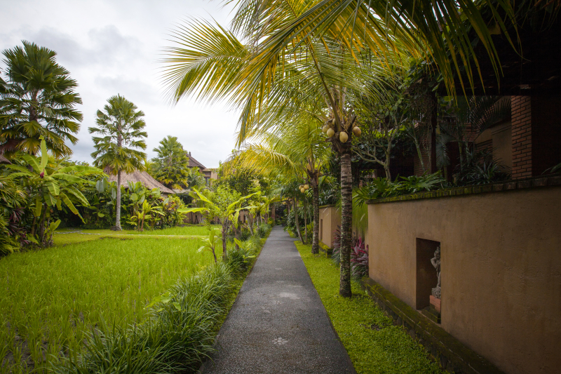أفضل العروض ل ببك تبي سواه رستاارانت و فلل جزيرة بالي