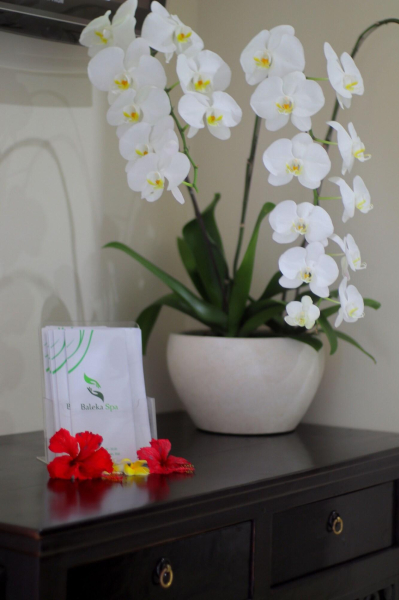 أفضل العروض ل منتجع بالكا   و سبا جزيرة بالي