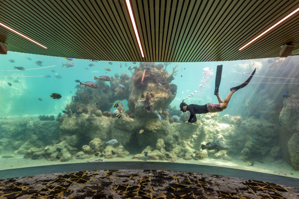 Best offers for Daydream Island Resort Great Barrier Reef