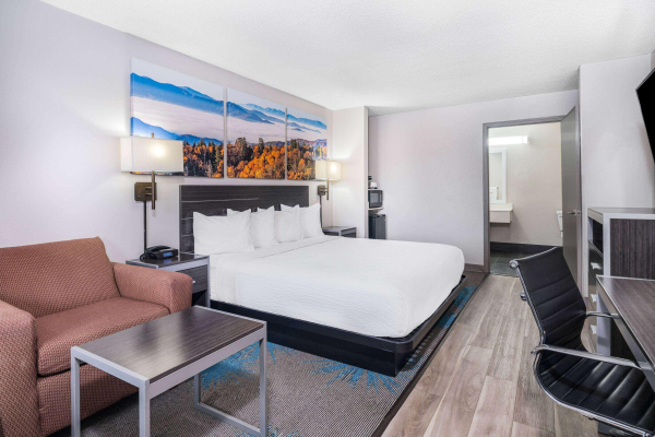 أفضل العروض ل دايسان باى ويندهام هاميلتون وينفيلد