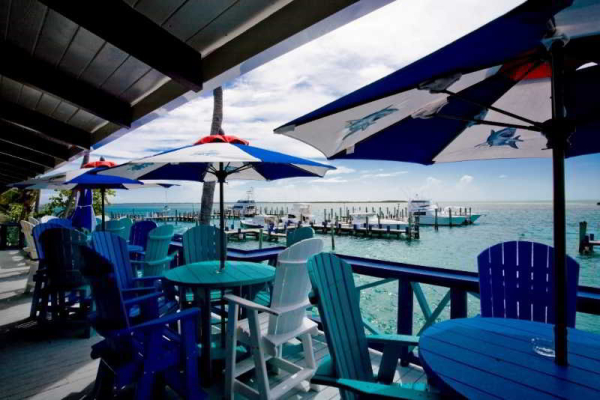 أفضل العروض ل  اليسي توون 