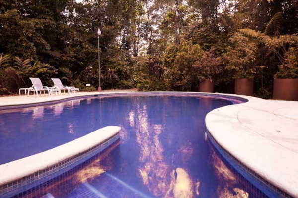 Best offers for Selva Verde Lodge & Rainforest Reserve Sarapiqui River