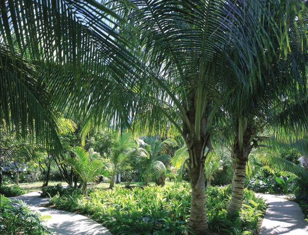 Best offers for Carlisle Bay Antigua Old Road