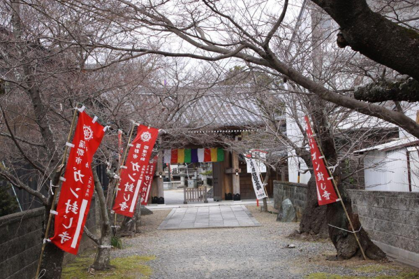 أفضل العروض ل هيمايادو هاناكازاشي  ) وومن’سانلي) جاماجوري