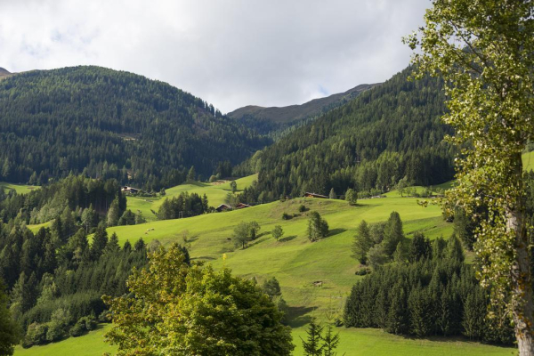 Best offers for Alpenhotel Weitlanbrunn Hochpustertal