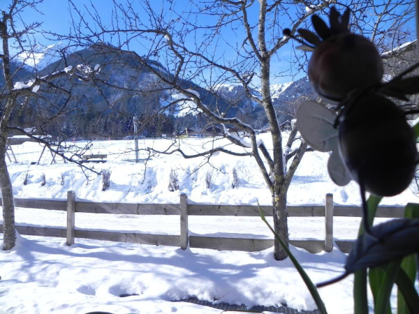 Best offers for Gasthof zur Post Krimml