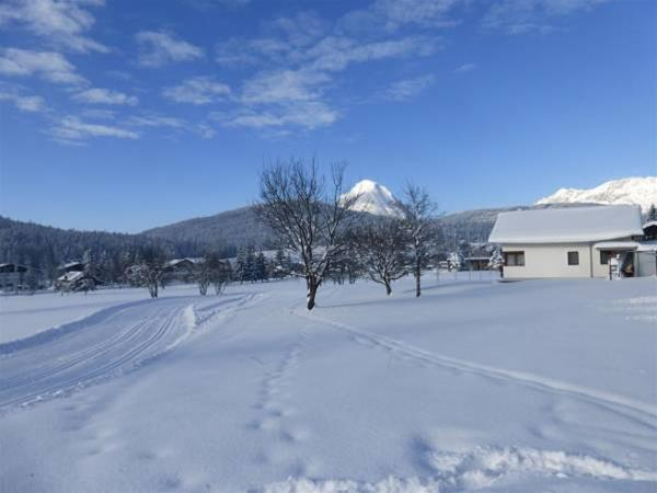 Best offers for Menthof Hotel Seefeld