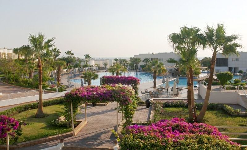 Best offers for SHARM REEF HOTEL Sharm El Sheikh