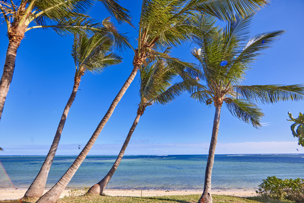 Best offers for Hotel Riu Turquoise - All Inclusive Mauritius