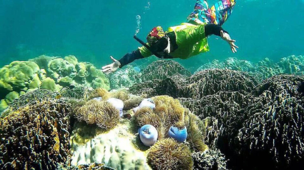 Best offers for Koh Jum Resort Krabi