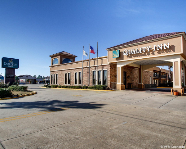 أفضل العروض ل ك يواليتيان ناتتشز 