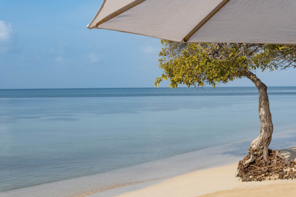 Best offers for Hotel Isla del Encanto Cartagena