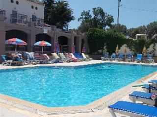 Best offers for Ant Ovacik