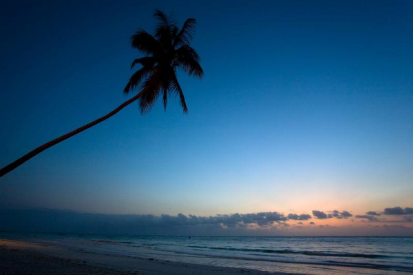 Best offers for VOI KIWENGWA RESORT KIWENGWA