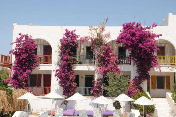 Best offers for Samdan Bodrum