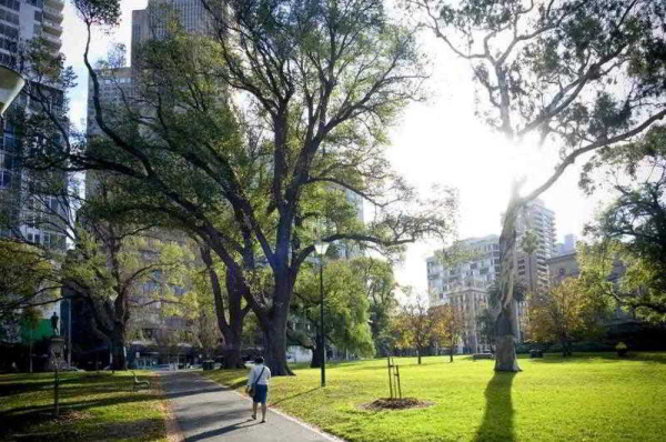 أفضل العروض ل  وودونجا