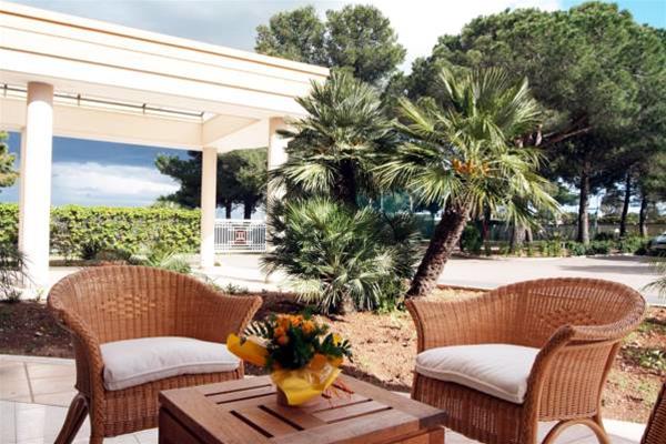 أفضل العروض ل مينرفا برينديس