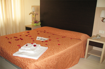 Best offers for INTERNATIONAL Cattolica