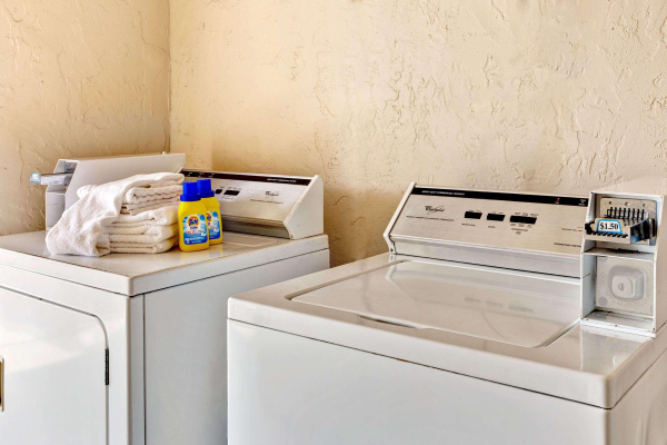 Best offers for Super 8 by Wyndham Tampa USF Busch Gardens Downtwn Tampa