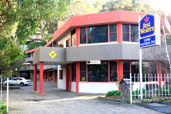 أفضل العروض ل ب.و لورن كواتشمانان لورن