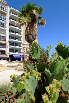 أفضل العروض ل فندق روما سليما