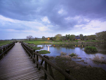 أفضل العروض ل  هازيفيو 