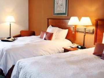 أفضل العروض ل هامبتونان نورفولك تشسابيك جرينبرير تشسابيك 