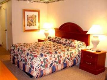 أفضل العروض ل هيلتون جاردنان بريدجىواتر بريدجواتر