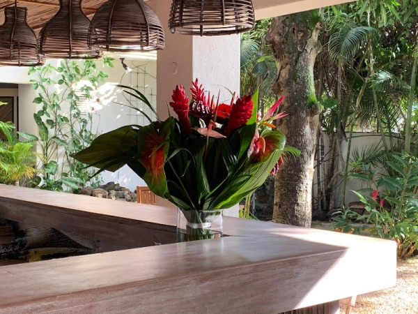 Best offers for Sous Le Badamier Grand Baie